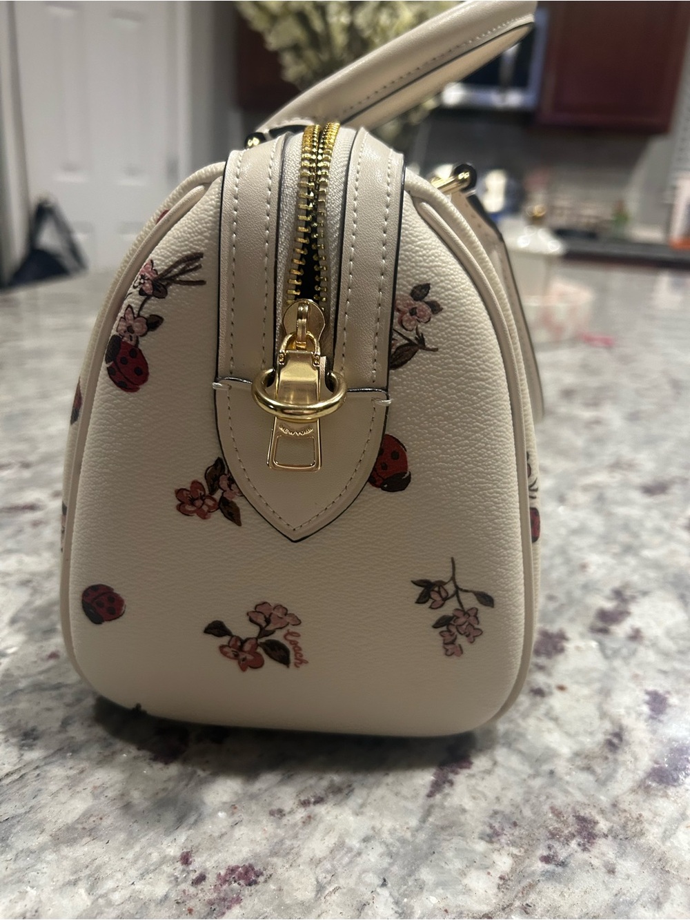 Coach Cream Satchel with Floral and Ladybug Motif - Picture 4 of 7